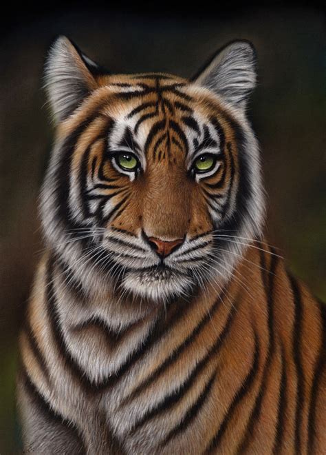 Original Pastel Artwork Of A Tiger Wildlife Art Original Etsy