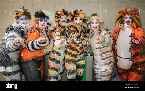 Cats Musical Costumes For Sale