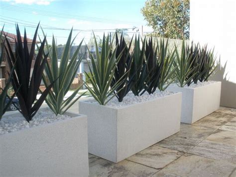 Screening plants cannot not only increase the privacy in your garden, they can make your garden appear larger. Artificial plants used for Screening Plants