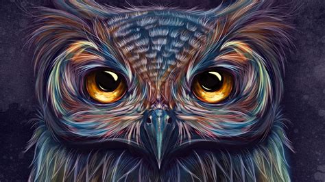 2560x1440 Owl Colorful Art 5k 1440p Resolution Hd 4k Wallpapers Images