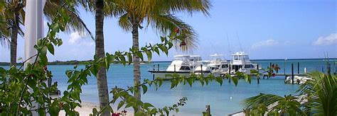 Aruba Surfside Marina