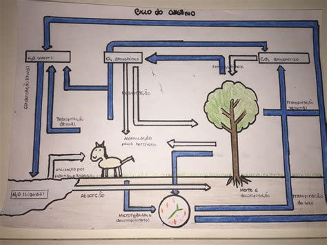 O Mesmo Som Que X Representa Em Oxigênio