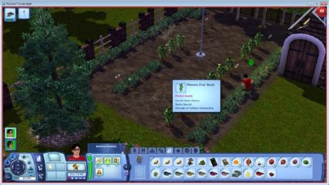 How To Get Strawberries In Sims 4 Hwia