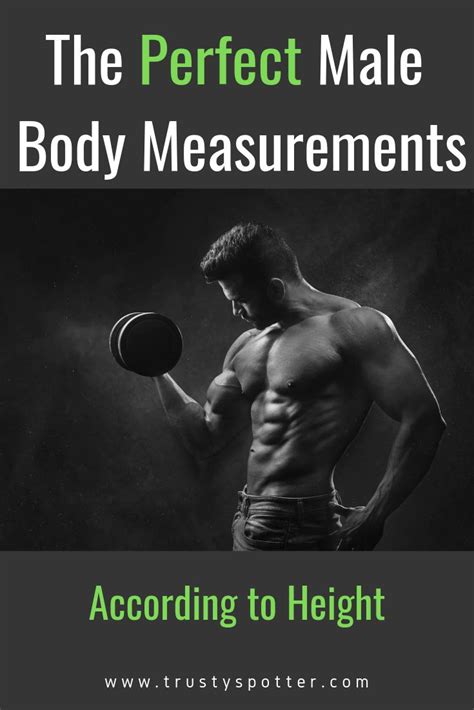 Perfect And Ideal Male Body Measurements According To Height Examples
