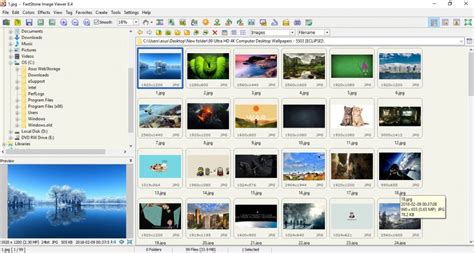 20 Best Free Photo Organizing Software For Windows And Mac Flowing Prints