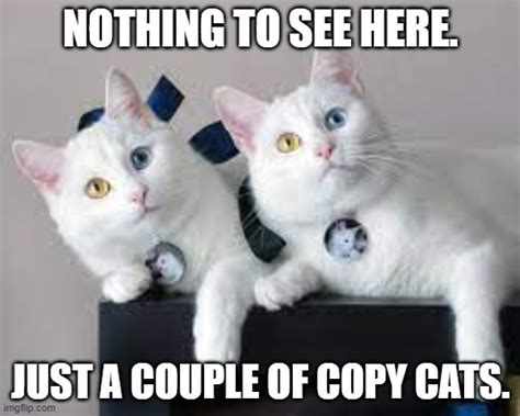 Meme By Brad Copy Cats Imgflip