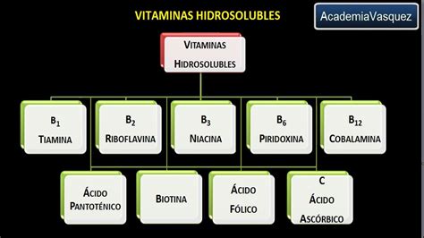 Vitaminas Hidrosolubles Vitamina B1 O Tiamina Youtube