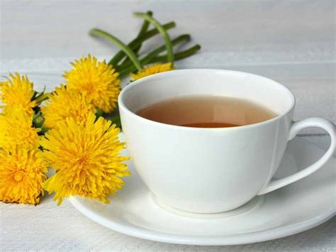 Dandelion Flower Tea Recipe Organic Facts