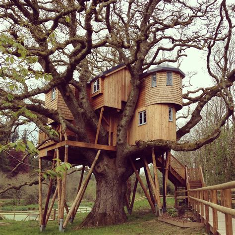 Amazing Tree House At Eggesford Cool Tree Houses Tree House Bird House