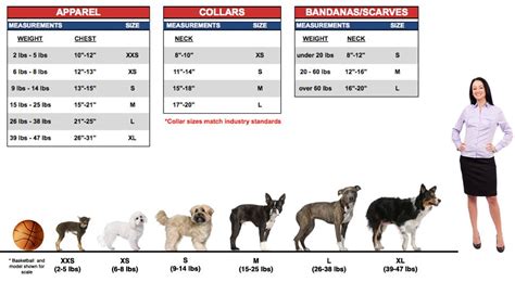 Dog Size Chart For Clothes