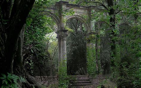 Forest Ruins Art Abandoned Places Magical Places Landscape
