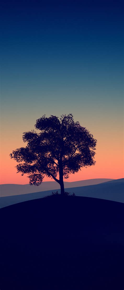 1080x2520 Tree Alone Dark Evening 4k 1080x2520 Resolution Wallpaper Hd