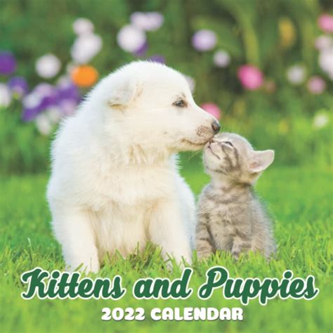 Buy Kittens And Puppies 2022 For Cat And Dog Person Squared Monthly
