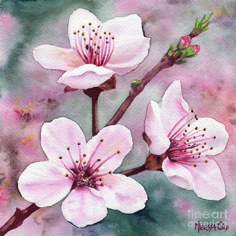 Cherry Blossoms Painting By Melissa Old Fine Art America
