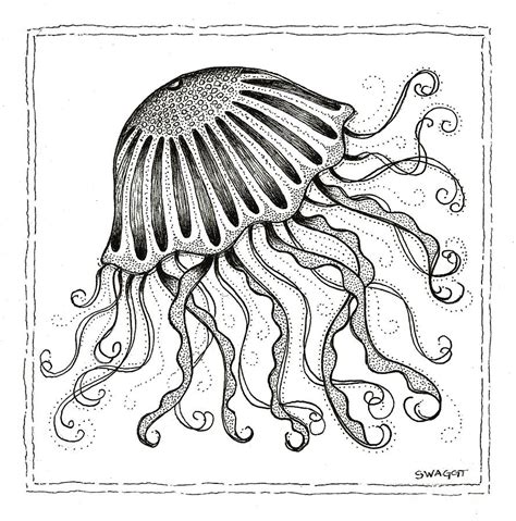 Without lifting your pencil, make the line wavy before connecting it to the opposite side of the circle. Jelly Fish Drawing by Stephanie Wagg