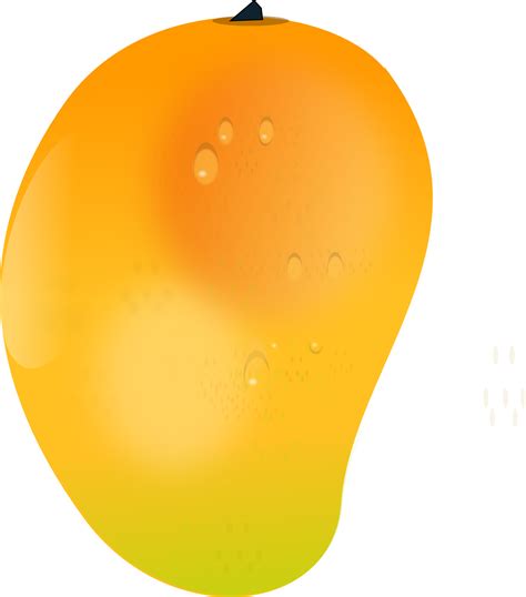 Mango clipart mango slice, Mango mango slice Transparent FREE for download on WebStockReview 2021