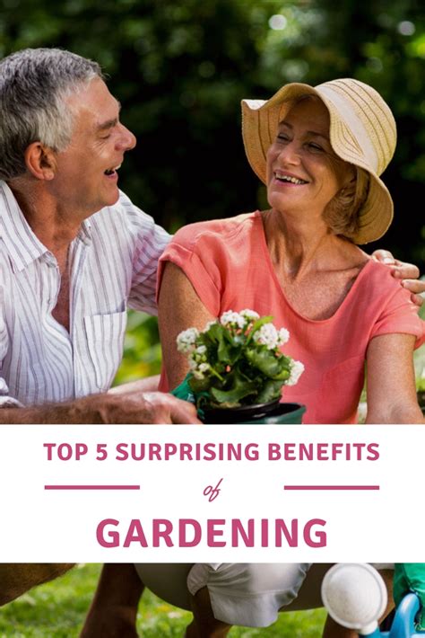 5 Surprising Benefits Of Gardening Gardening Know Hows Blog