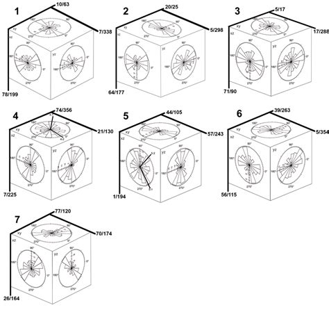 2 Suevite Cubes From The Seelbronn Quarry With Rose Diagrams For Each