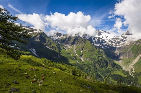 Austria, officially the republic of austria (german: Großglockner-Hochalpenstraße | AEIOU Österreich-Lexikon im ...