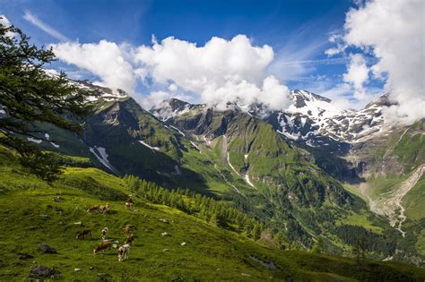 Hier ein überblick über die aktuellen einreisebestimmungen. Großglockner-Hochalpenstraße | AEIOU Österreich-Lexikon im ...