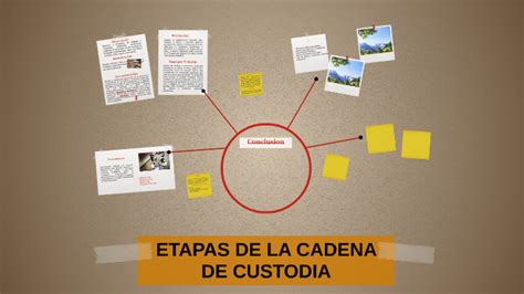 Etapas De La Cadena De Custodia By Stephanie Alfaro On Prezi