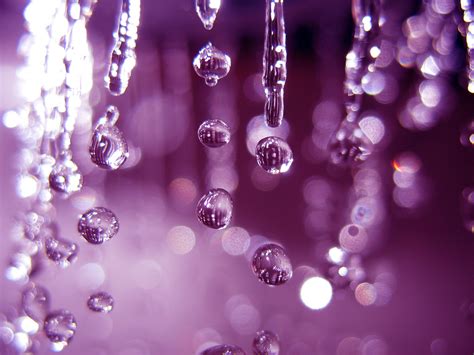 Purple Rain Flickr Photo Sharing
