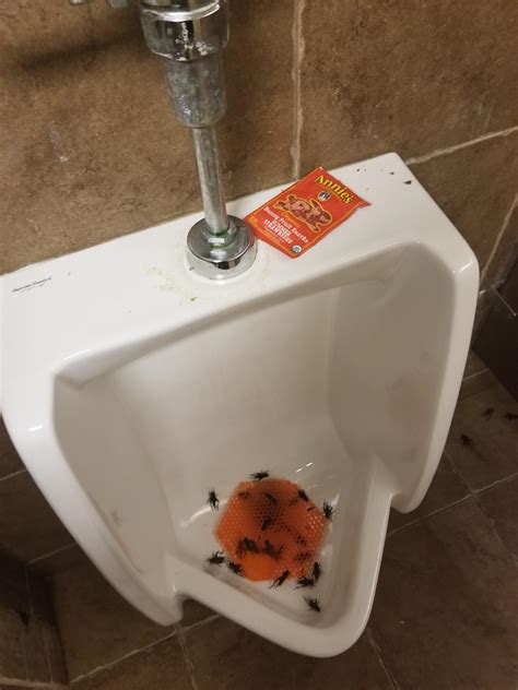 this is the urinal at my school r trashy