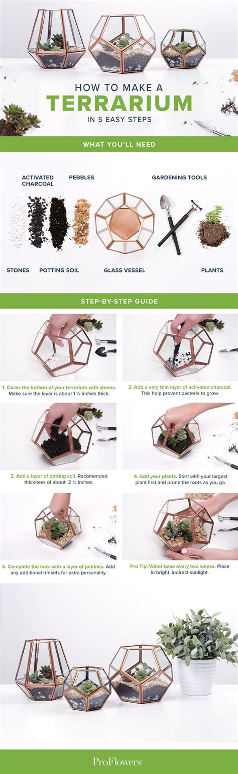 How To Make A Terrarium In 5 Easy Steps Proflowers