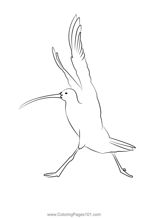 Pin On Sandpipers Coloring Pages