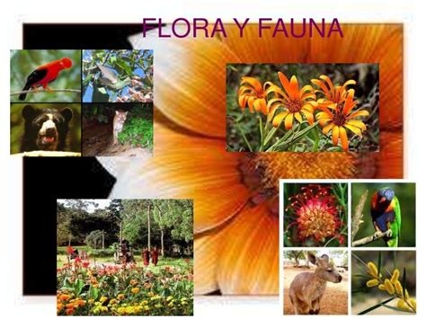 flora y fauna
