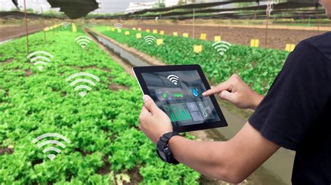 Being around people that are smart will give you the opportunity to learn from them or you may also get techniques from them on how they keep. Internet of Things Based Smart Farming: A Revolution on ...