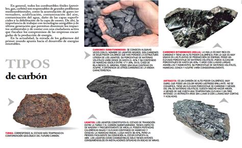 ¿qué Es El Carbón Carbón Fundación Terram