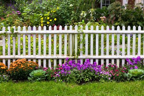 What Colour Fence Paint Makes Gardens Look Bigger: The Ultimate Guide