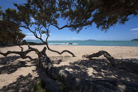 The 10 Best Beaches Of Northland New Zealand