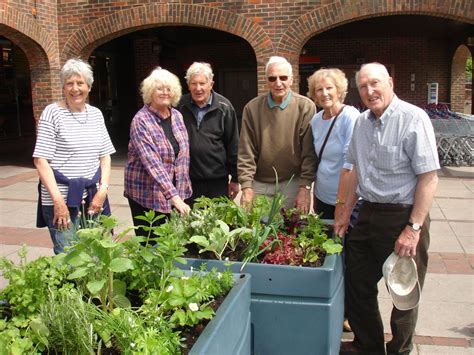 Edible Planters In South Street Farnham Town Council