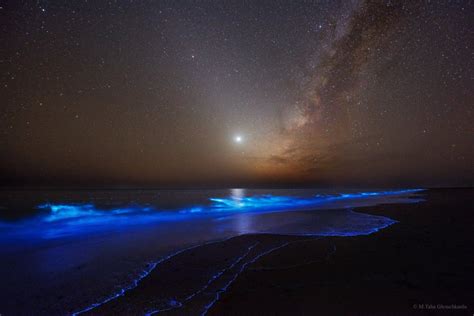 Milky Way Over Bioluminescent Beach In Iran Woahdude