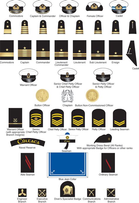 Image 75 Of Naval Officer Ranks And Insignia Indexofmp3happyending75073