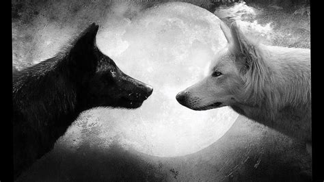 Black And White Wolf Howling At The Moon Wallpapers Wolf Background