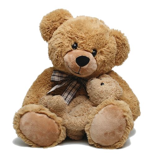 Teddy Bear Png Transparent Image Download Size 757x800px