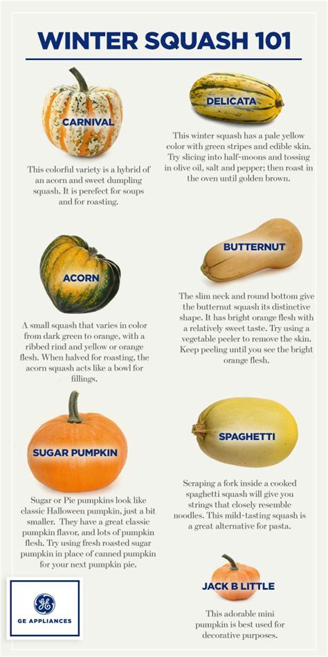 Check spelling or type a new query. Confused by the varieties of squash in the store? Let us ...