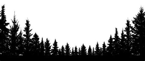 Pine Trees Forest Silhouette