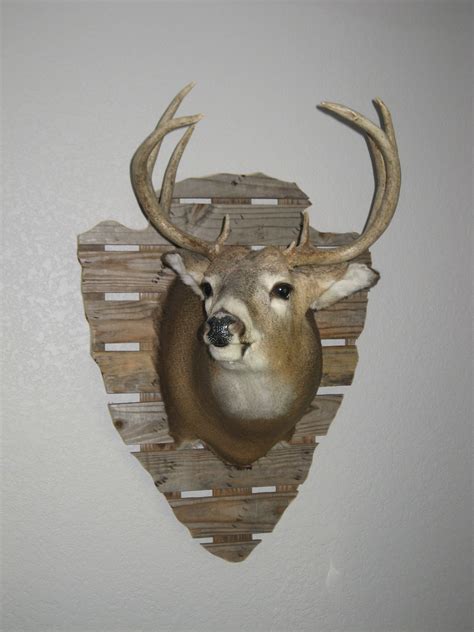 Diy Deer Mount Palette Plaque Deer Mounts Hunters Diy Deer Decor