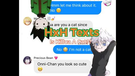 Is Killua A Cat Part 1 Hxh Texts Youtube