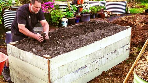 How To Fill Raised Vegetable Garden Beds And Save Money Youtube
