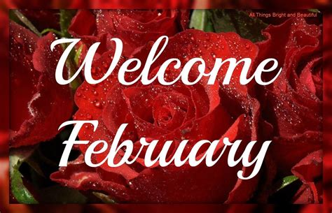 Red Rose Welcome February Pictures Photos And Images For Facebook