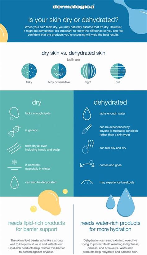 Dehydrated Skin Vs Dry Skin How To Tell The Difference American Spa