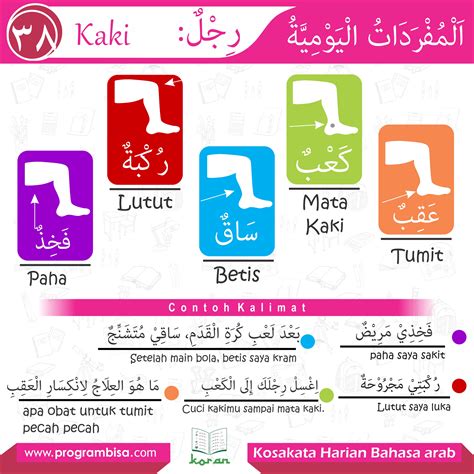 Untuk membuat kalimat dengan kata sifat maka diawali to be (is am are misal). Contoh Kalimat Kata Sifat Dalam Bahasa Arab - Barisan Contoh