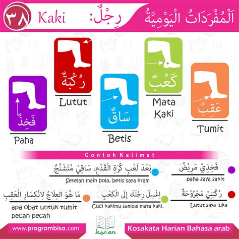 Kata serapan dalam bahasa indonesia sendiri berasal dari berbagai bahasa asing yang ada, salah satunya adalah bahasa arab. Contoh Kalimat Kata Sifat Dalam Bahasa Arab - Barisan Contoh