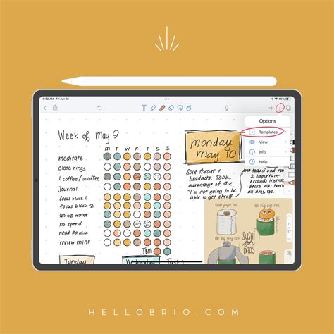 digital doodle diary the ultimate intro guide to a freeform ipad bullet journal — hello brio
