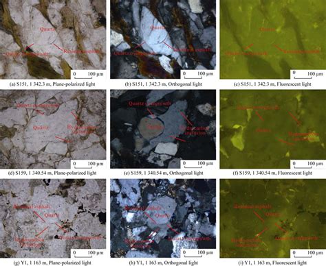 Microscopic Characteristics Of Hydrocarbon Inclusions In Yanchang